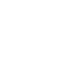 Congressus